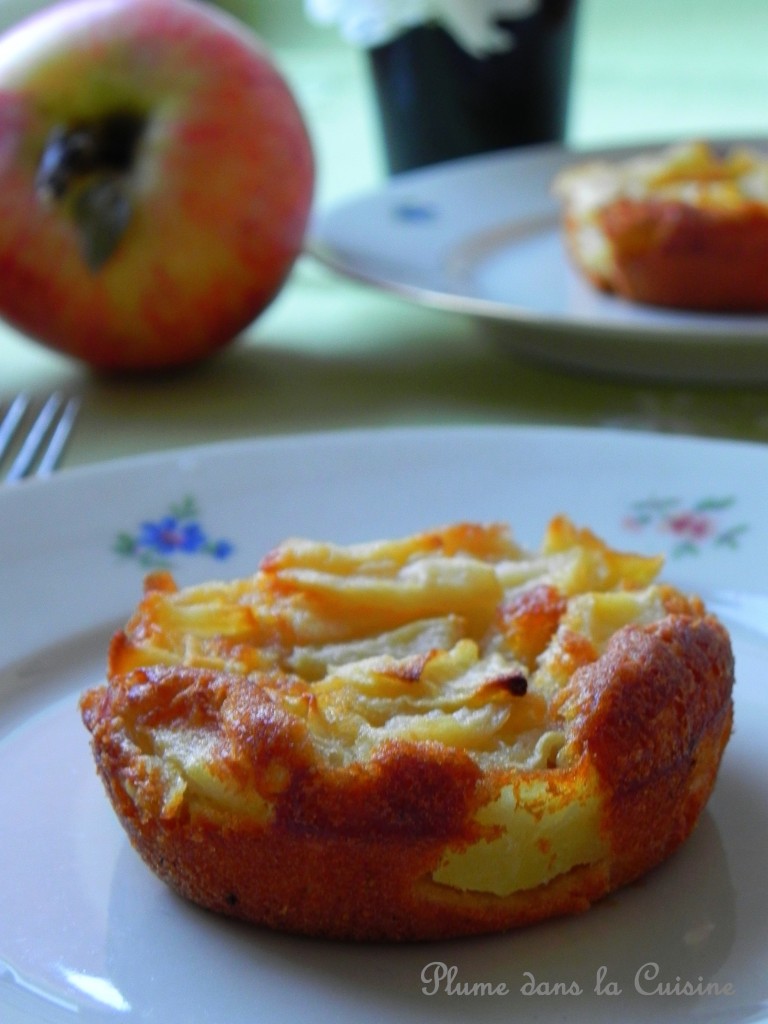 délices aux pommes