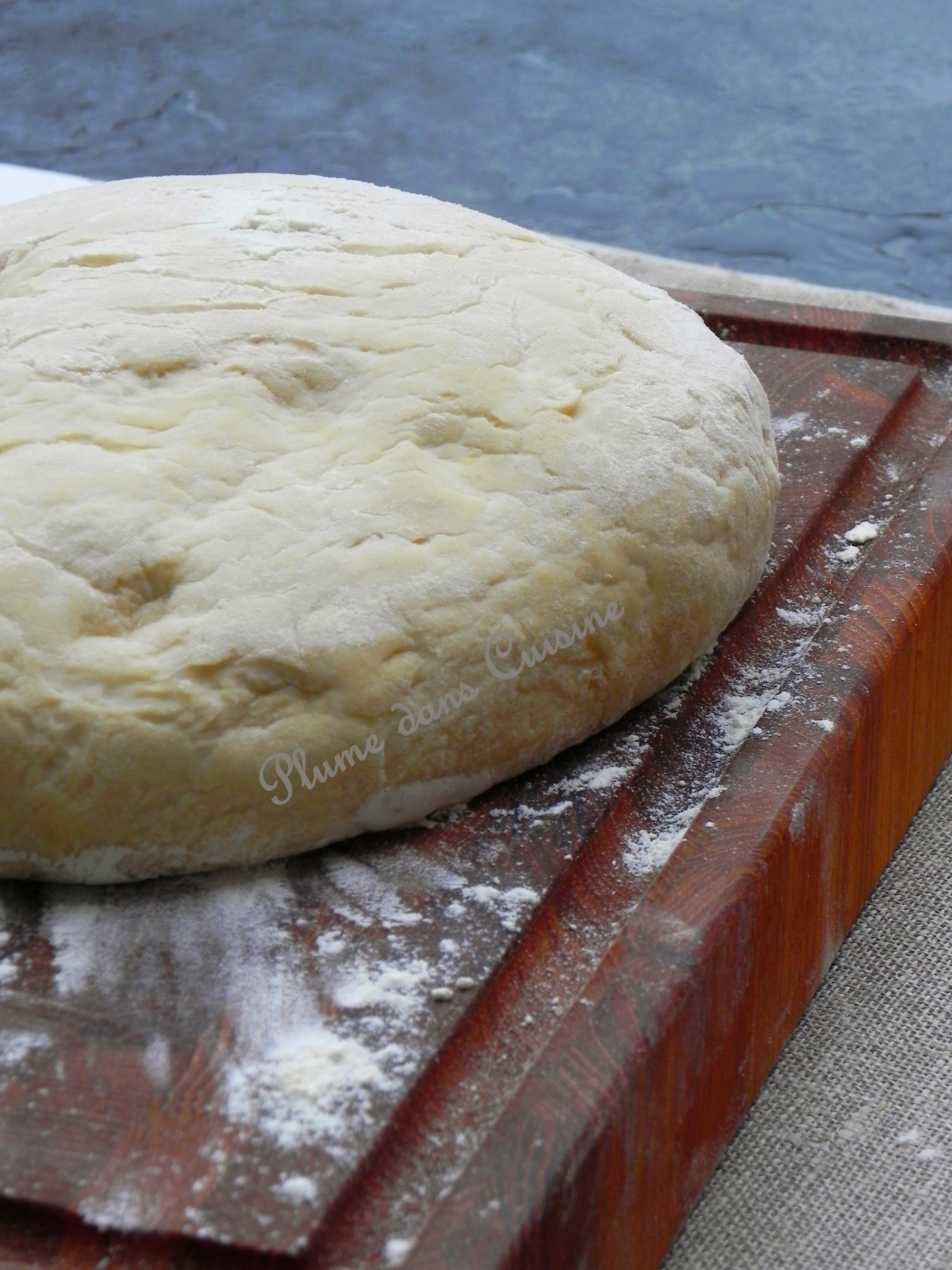 Pâte à pizza inratable, facile et rapide Une Plume dans la Cuisine