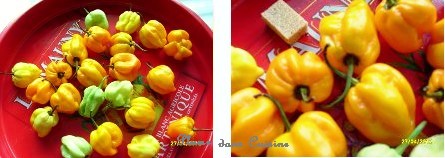piments4