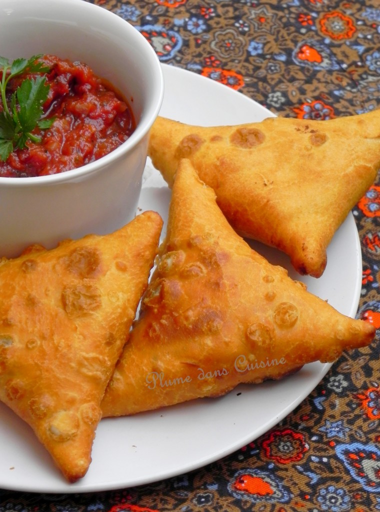 samosas indiens (29)