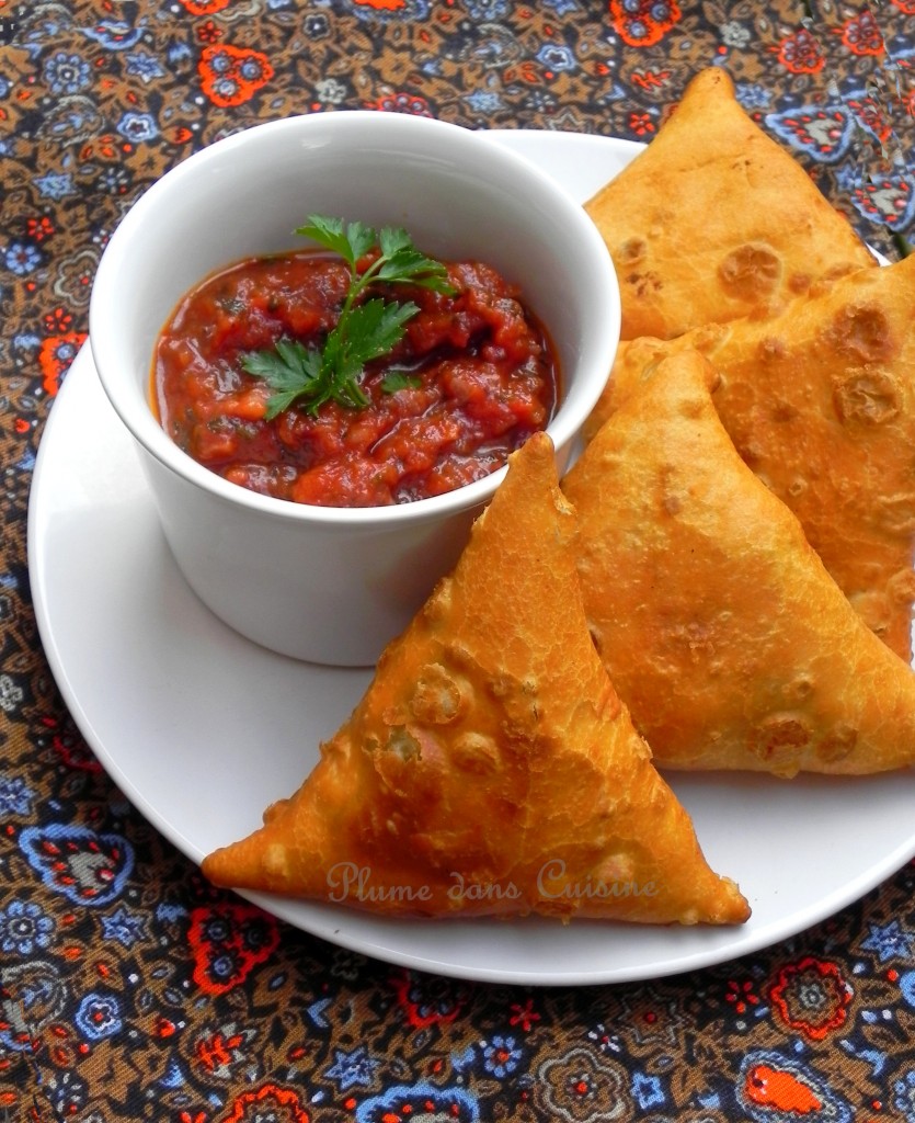 samosas indiens (40)