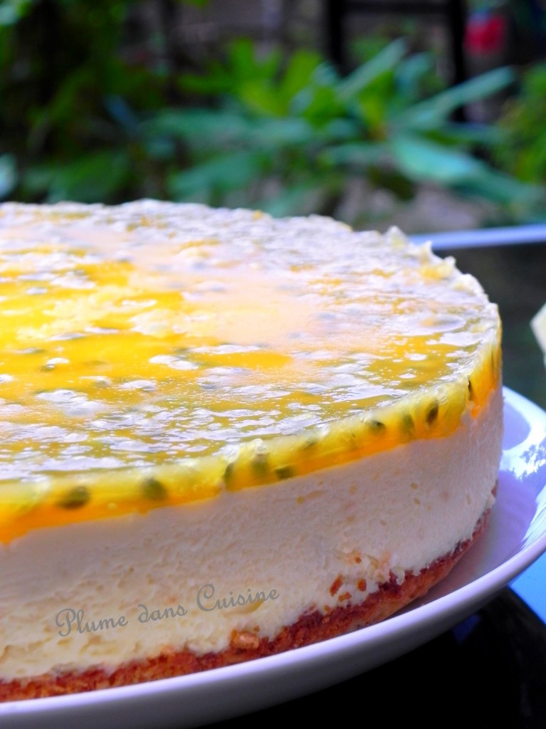 Mousse exotique sur biscuit au coco (16)