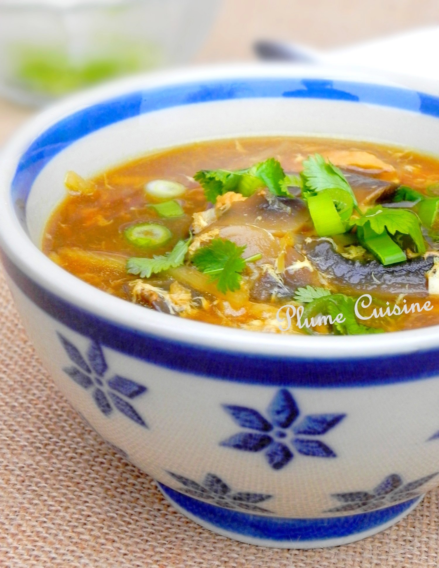 Comment Adoucir Une Soupe Trop Pimentée Soupe chinoise au poulet (soupe Sechuan) | Une Plume dans la Cuisine
