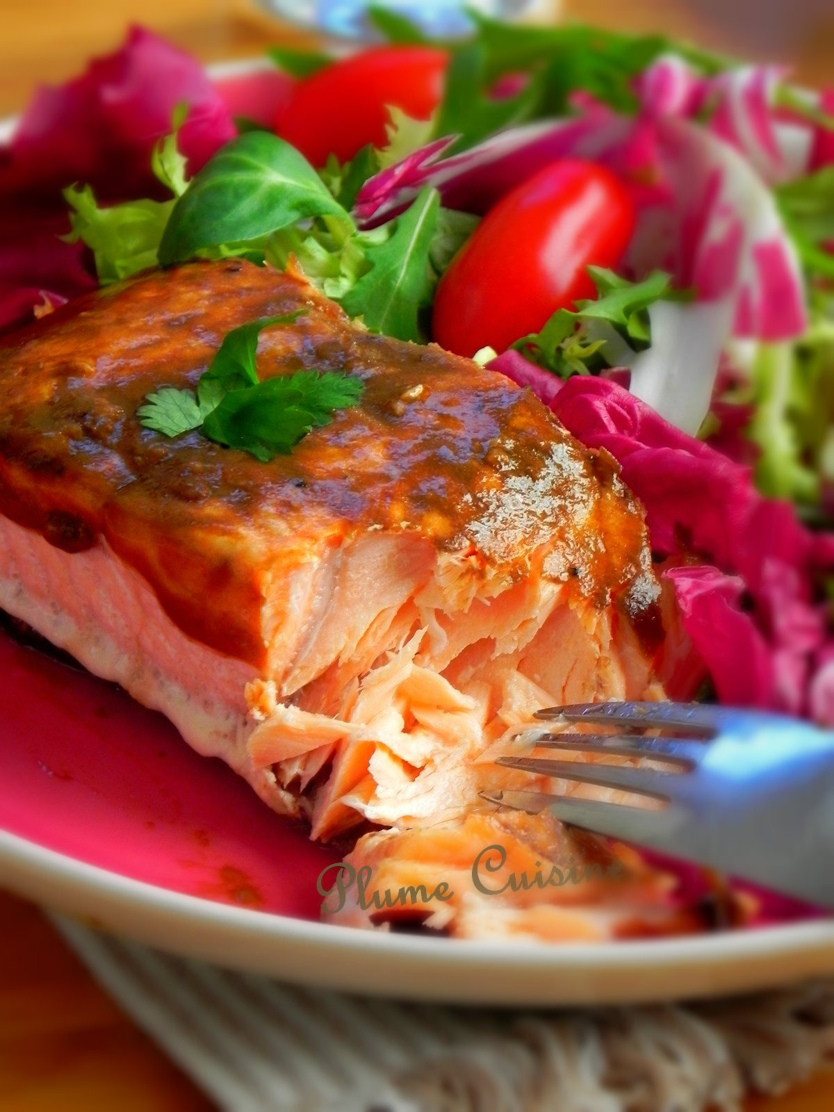 désherber au vinaigre saumon au vinaigre balsamique une plume dans la cuisine désherber au vinaigre saumon au vinaigre balsamique une plume dans la cuisine